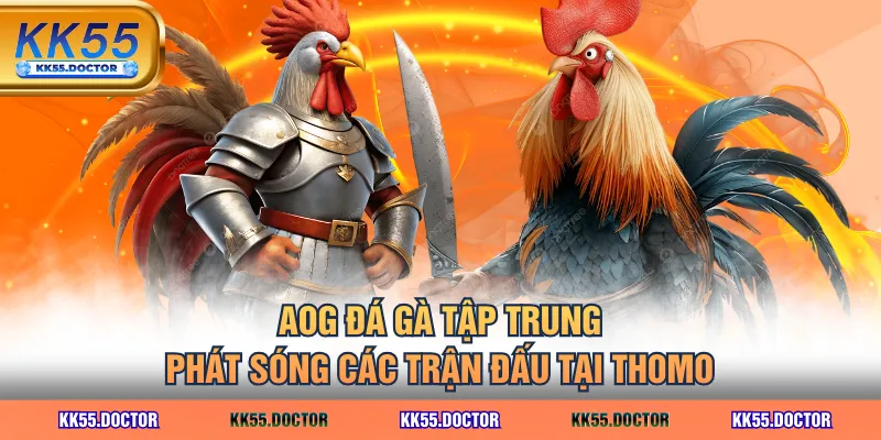 Sảnh AOG Đá Gà Tại KK55 - Trải Nghiệm Đá Gà Đỉnh Cao 3 AOG đá gà tập trung phát sóng các trận đấu tại Thomo