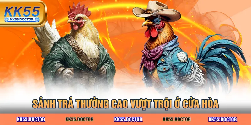 Sảnh AOG Đá Gà Tại KK55 - Trải Nghiệm Đá Gà Đỉnh Cao 5 Sảnh trả thưởng cao vượt trội ở cửa hòa